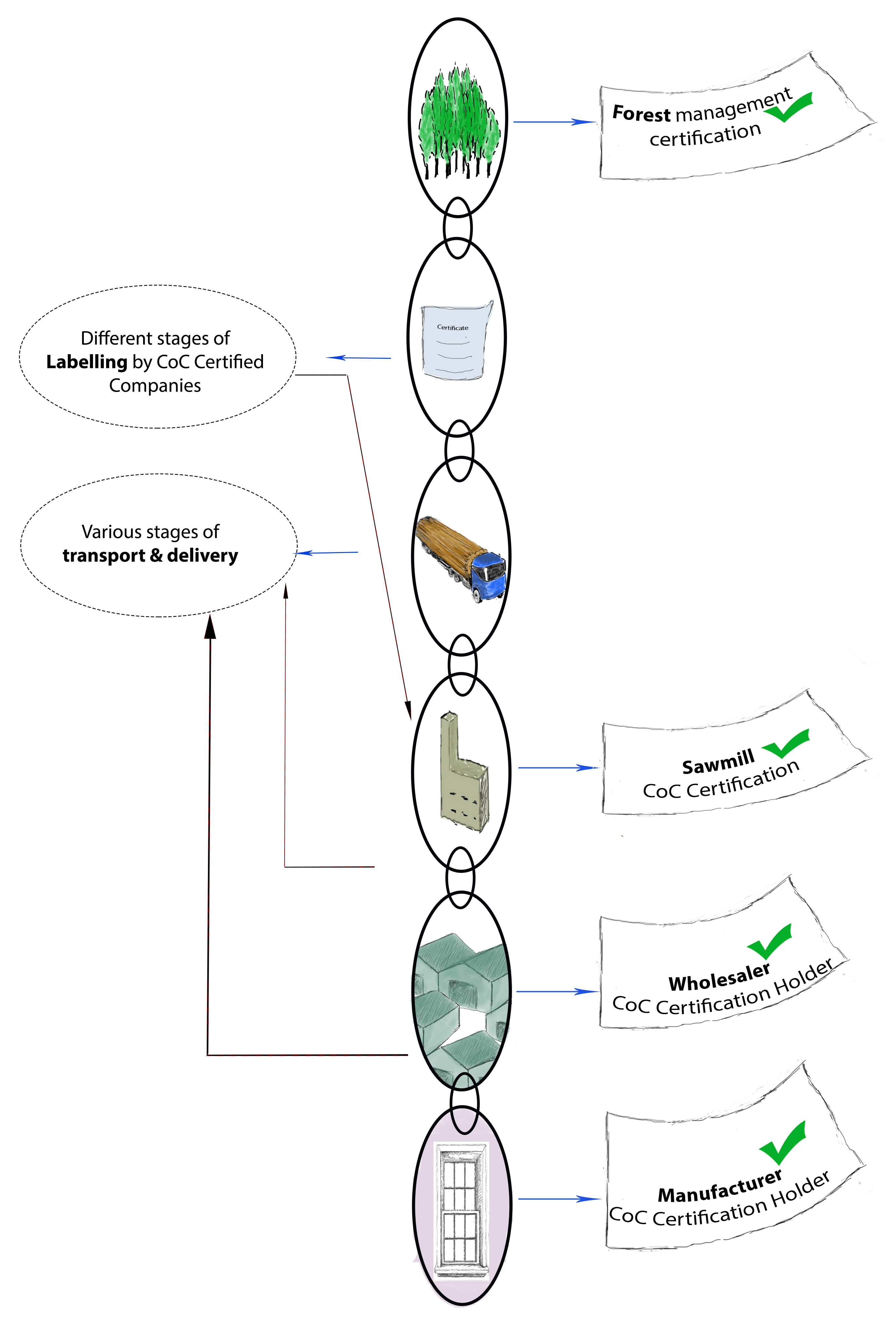 Final chain of custody illustration