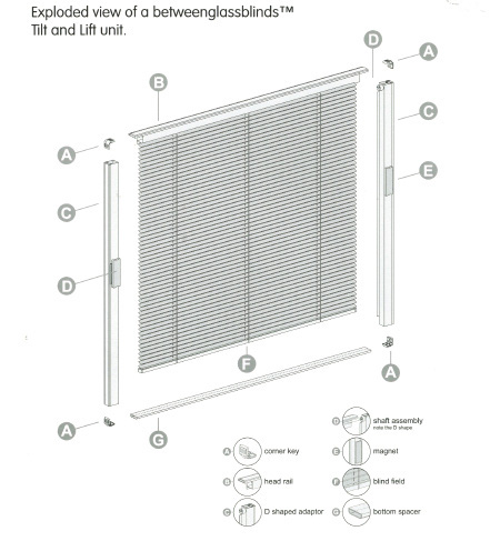 Interstitial blind illustrations