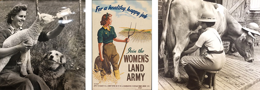 Women's land army