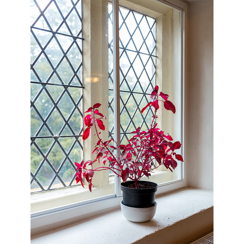 Discreet and slimline Series 10 secondary glazing by Selectaglaze at Grade I Listed Belton House
