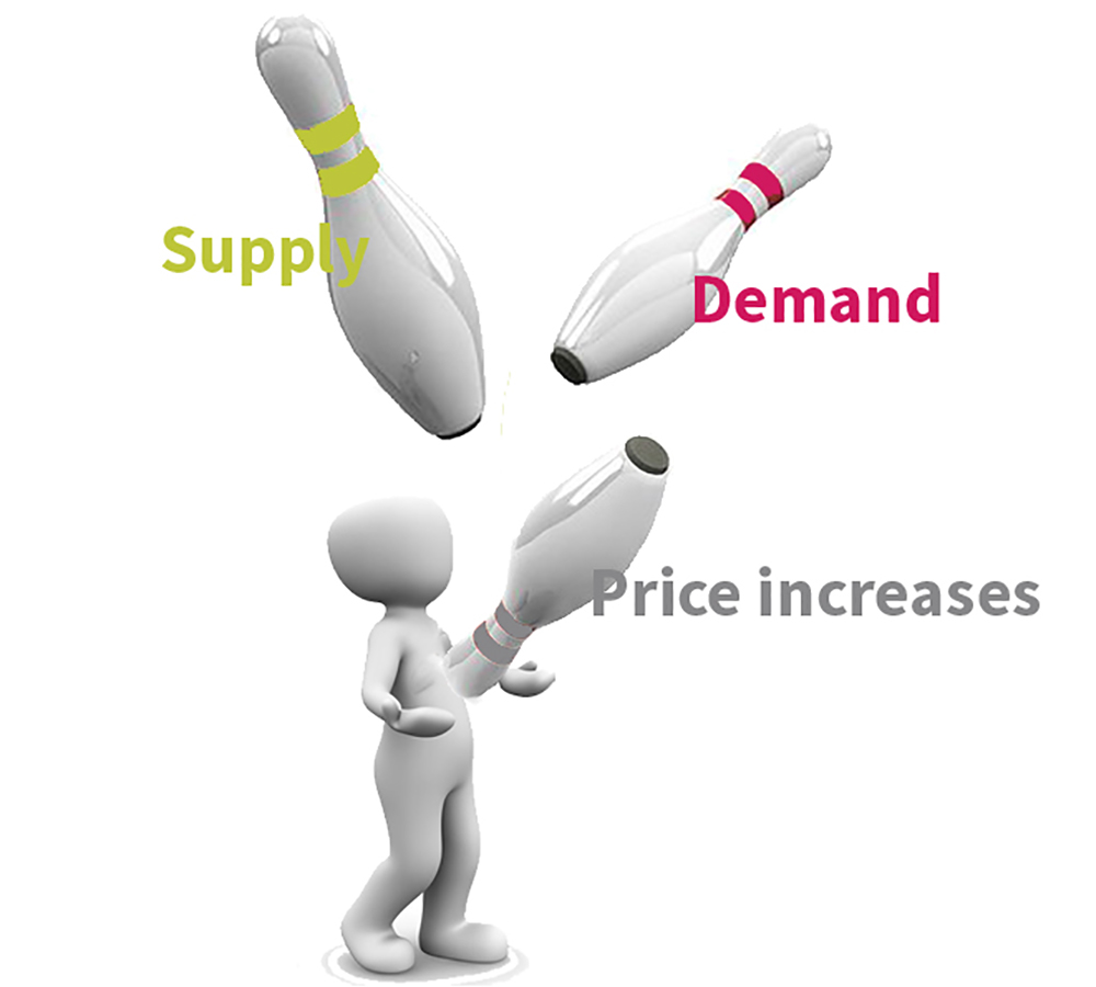 Selectaglaze juggling the pressures of supply, demand and price increases to manufacture its secondary glazing
