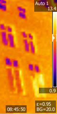 Thermal imaging can be used to assist in identifying performance levels of buildings